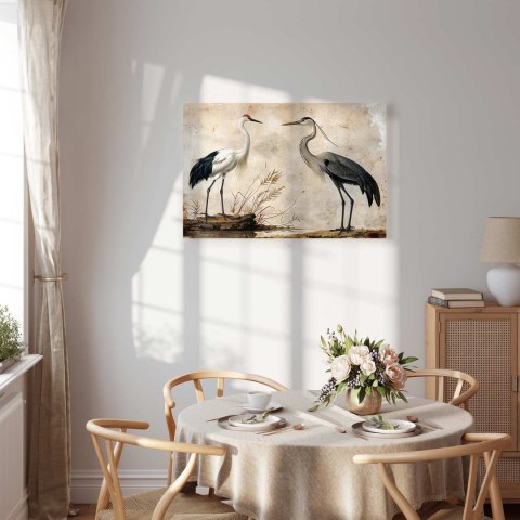 Obraz - Ptaki ze starej ryciny - ilustracja w stylu vintage, przedstawiająca czaplę i żurawia 30x20 Premium Print
