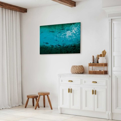 Obraz - Gromada ciemnych ryb 30x20 Akustyczny