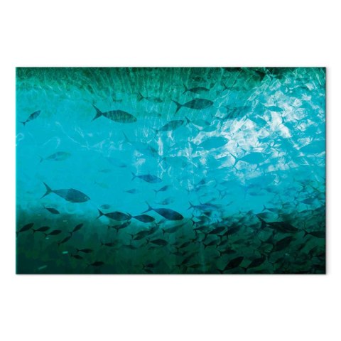 Obraz - Gromada ciemnych ryb 30x20 Premium Print