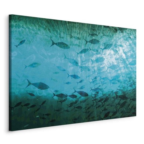 Obraz - Gromada ciemnych ryb 30x20 Standard