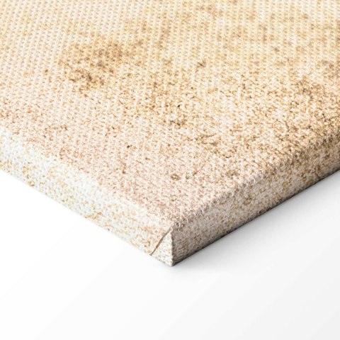 Obraz - Subtelne rybki 30x20 Standard