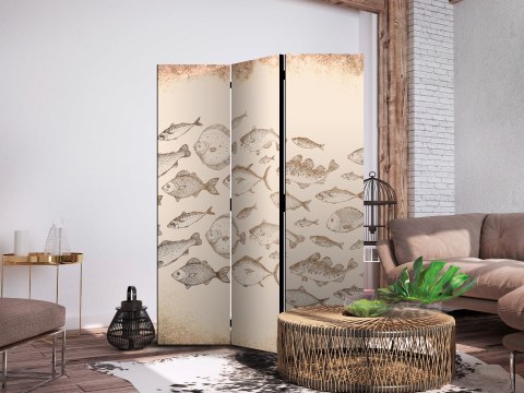 Parawan - Szkic ławicy ryb - Szkice różnych gatunków ryb płynących w ławicy na beżowym tle w stylu vintage 135x172 Dwustronny