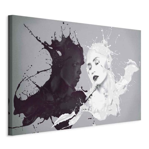 Obraz - Przeciwieństwo (1-częściowy) szeroki 90x60 Standard