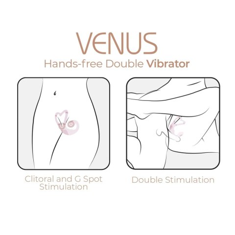 AD. Venus + APP