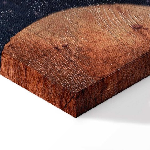Obraz - Rakietą w nieznane (1-częściowy) pionowy 20x30 Premium Print