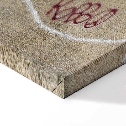 Obraz - Samolot Banksy (1-częściowy) - graffiti czerwone napisy na tle muralu 120x80 Premium Print