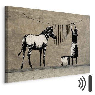 Obraz - Banksy: Pranie zebry na betonie (1-częściowy) szeroki 120x80 Akustyczny