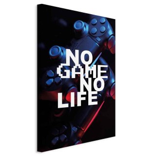 Obraz - No Game No Life (1-częściowy) pionowy 20x30 Na płótnie włoskim