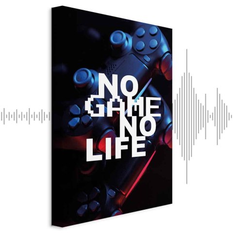 Obraz - No Game No Life (1-częściowy) pionowy 40x60 Akustyczny