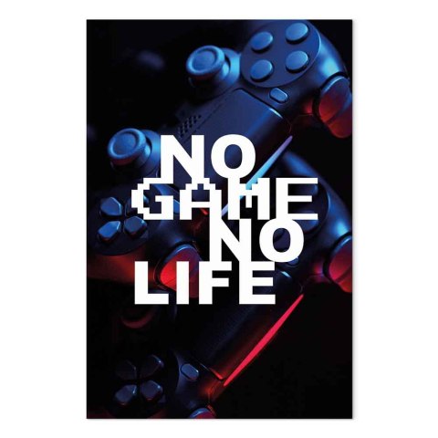 Obraz - No Game No Life (1-częściowy) pionowy 60x90 Na płótnie włoskim