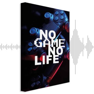Obraz - No Game No Life (1-częściowy) pionowy 80x120 Akustyczny