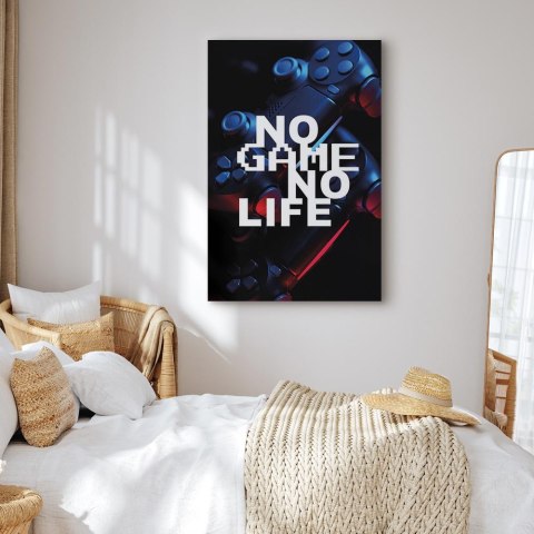 Obraz - No Game No Life (1-częściowy) pionowy 80x120 Na płótnie włoskim