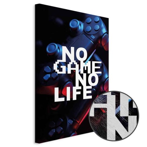 Obraz - No Game No Life (1-częściowy) pionowy 80x120 Premium Print