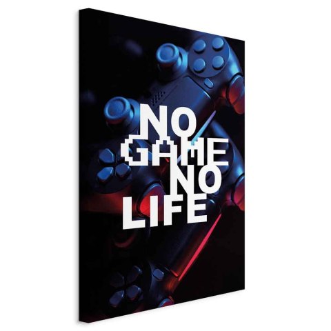 Obraz - No Game No Life (1-częściowy) pionowy 80x120 Standard