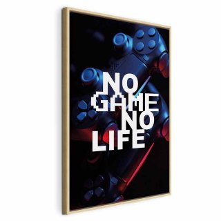 Obraz - No Game No Life (1-częściowy) pionowy 80x120 W ramie drewnianej naturalnej