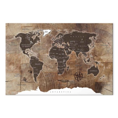 Obraz - Mapa świata: Drewniana mozaika 30x20 Standard