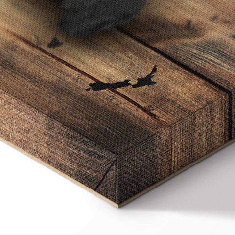 Obraz - Srebrny świat 30x20 Akustyczny