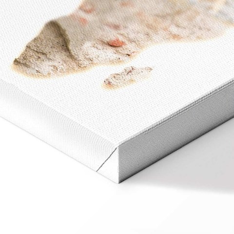Obraz - Gorący kontynent (1-częściowy) pionowy 20x30 Na płótnie włoskim
