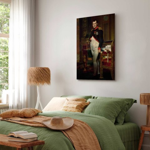 Obraz - Jacques-Louis David - Napoleon Bonaparte 20x30 Standard