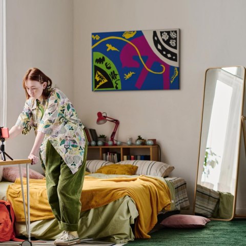 Obraz - Henri Matisse - Koń, jeździec i klaun (z cyklu „Jazz") 30x20 Premium Print