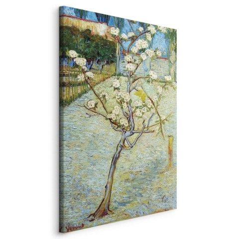 Obraz - Vincent van Gogh - Kwitnąca grusza 20x30 Na płótnie włoskim