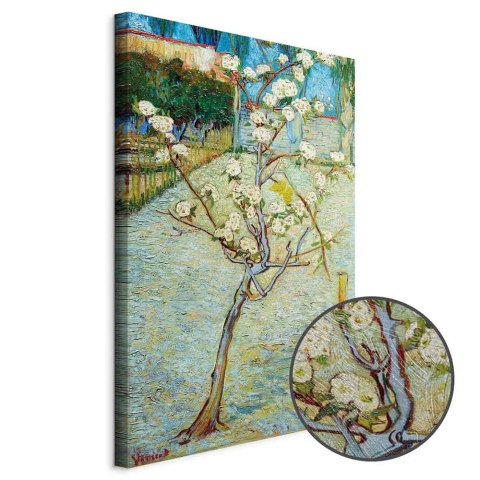 Obraz - Vincent van Gogh - Kwitnąca grusza 20x30 Premium Print