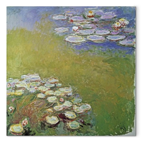 Obraz - Claude Monet - Nenufary 40x40 Standard
