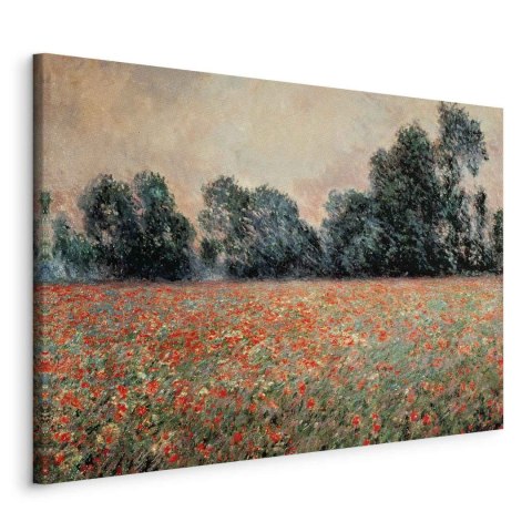 Obraz - Claude Monet - Pole dzikich maków 30x20 Standard