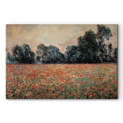 Obraz - Claude Monet - Pole dzikich maków 60x40 Standard