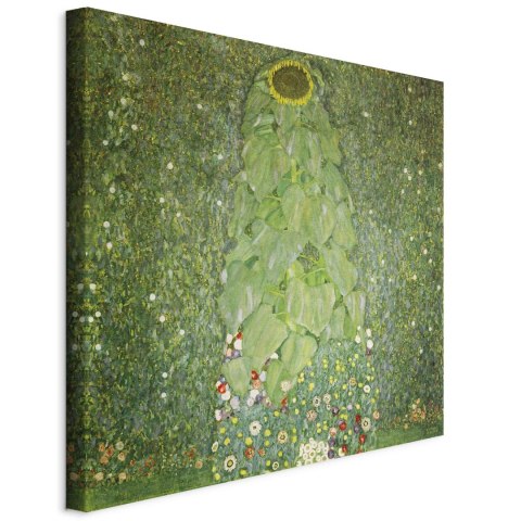 Obraz - Gustav Klimt - Słonecznik 40x40 Na płótnie włoskim