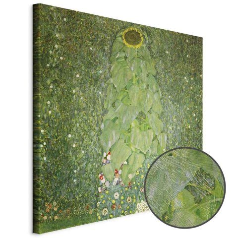 Obraz - Gustav Klimt - Słonecznik 40x40 Premium Print