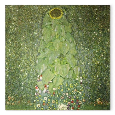 Obraz - Gustav Klimt - Słonecznik 60x60 Standard