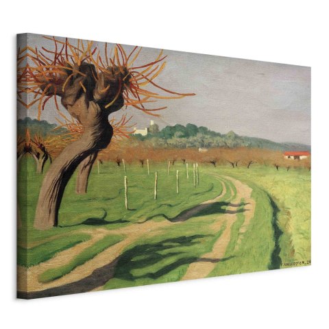 Obraz - Félix Vallotton - Dolina Cagne 60x40 Standard