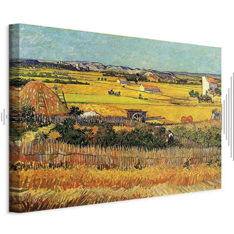 Obraz - Vincent van Gogh - Żniwa 30x20 Akustyczny