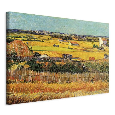 Obraz - Vincent van Gogh - Żniwa 30x20 Standard
