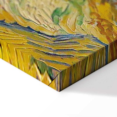 Obraz - Vincent van Gogh - Drzewo morwowe 30x20 Na płótnie włoskim