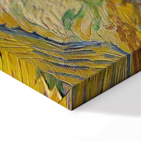 Obraz - Vincent van Gogh - Drzewo morwowe 30x20 Premium Print