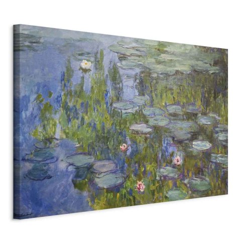 Obraz - Claude Monet - Nenufary 30x20 Standard