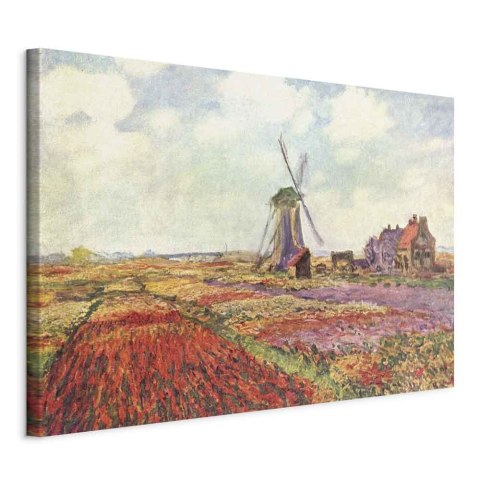 Obraz - Claude Monet - Pola tulipanów i wiatrak w Rijnsburg 60x40 Standard