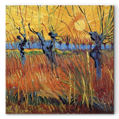 Obraz - Vincent van Gogh - Wierzby o zachodzie słońca 40x40 Standard