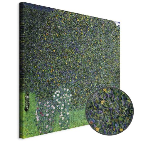 Obraz - Gustav Klimt - Róże wśród drzew 40x40 Premium Print