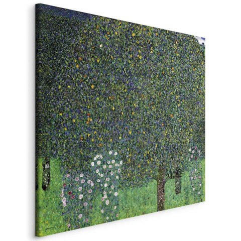 Obraz - Gustav Klimt - Róże wśród drzew 60x60 Standard