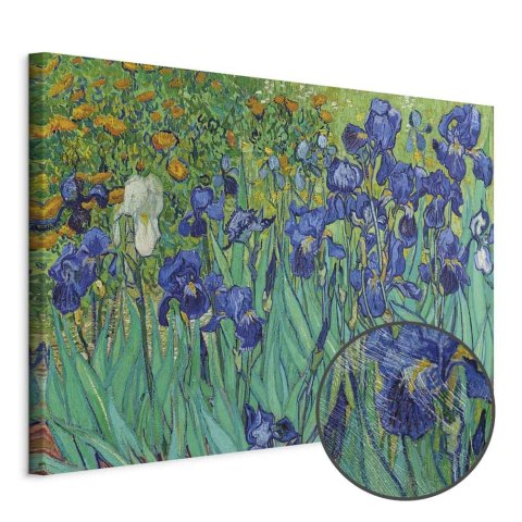 Obraz - Vincent van Gogh - Irysy 30x20 Premium Print
