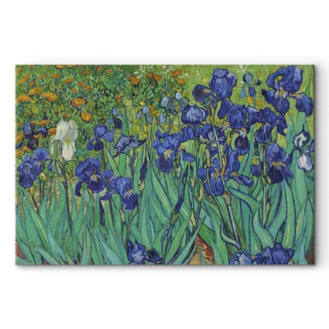 Obraz - Vincent van Gogh - Irysy 30x20 Standard