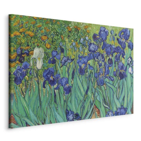 Obraz - Vincent van Gogh - Irysy 60x40 Na płótnie włoskim