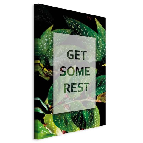 Obraz - Get Some Rest (1-częściowy) pionowy 20x30 Na płótnie włoskim