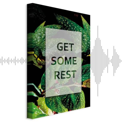 Obraz - Get Some Rest (1-częściowy) pionowy 20x30 Akustyczny