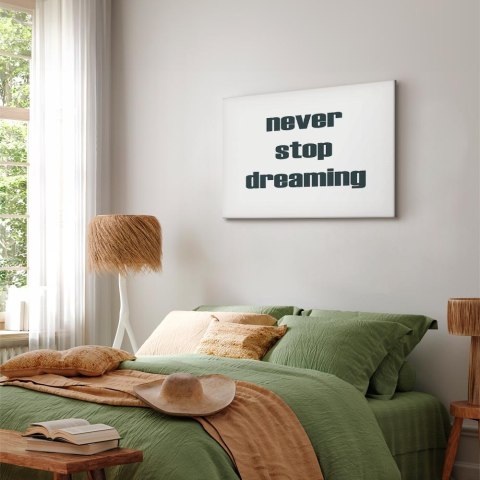 Obraz - Never Stop Dreaming (1-częściowy) szeroki 30x20 Standard