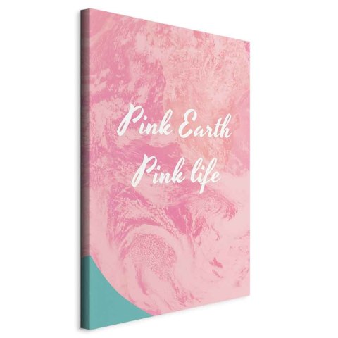 Obraz - Pink Earth, Pink Life (1-częściowy) pionowy 40x60 Standard