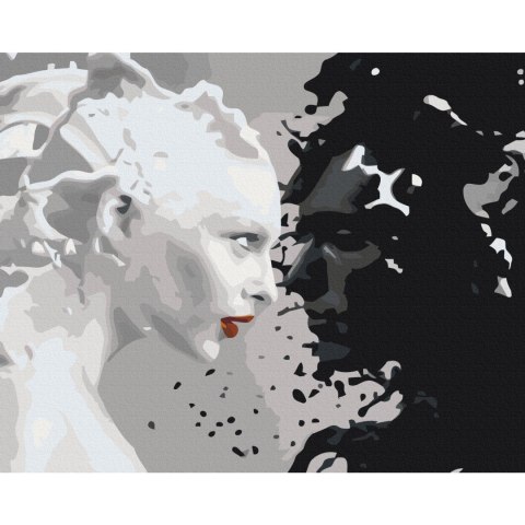 Obraz do samodzielnego malowania - Black & White 50x40